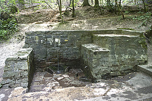 Goldsteinquelle (Goldsteintal, nähe Hubertus Hütte)